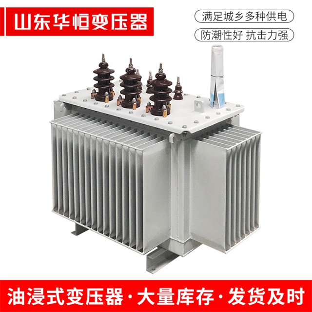 S13-10000/35金阳金阳金阳油浸式变压器厂家